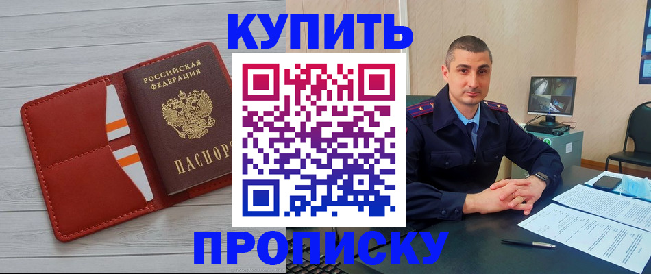 прописка для школы в Мурманской области